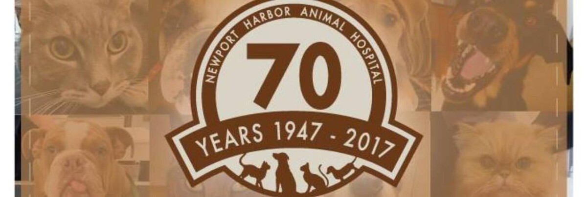 Images Newport Harbor Animal Hospital