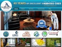 Screenshot for www.thecleanguystempe.com