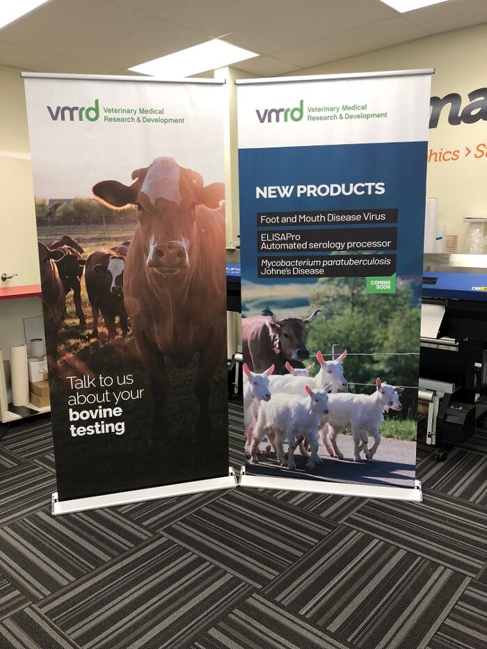 Images Allegra Marketing Print Mail