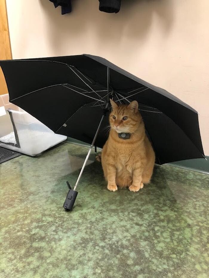 Images Belle Plaine Animal Hospital