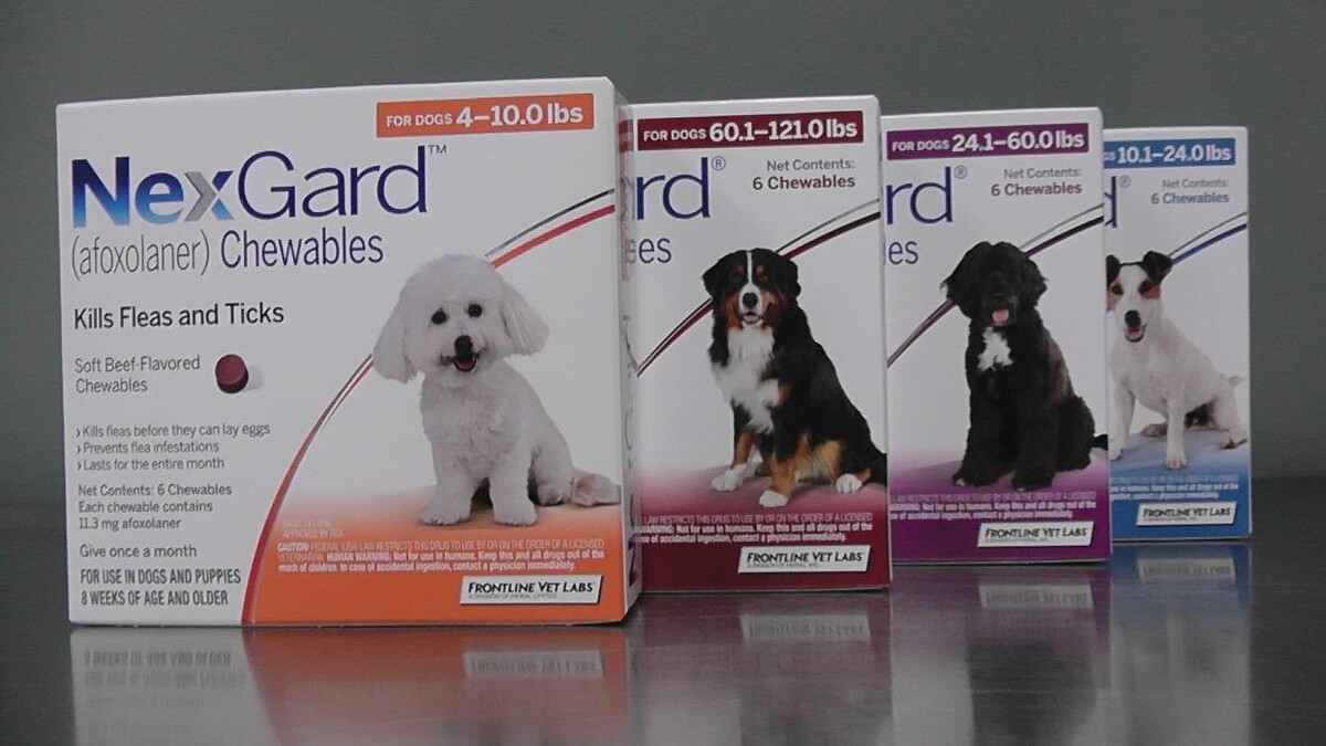 Images Belle Plaine Animal Hospital