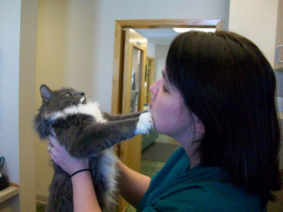 Images Belle Plaine Animal Hospital