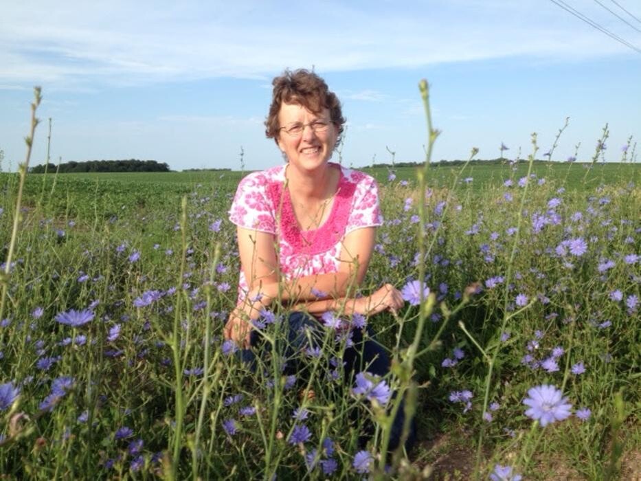 Images Belle Plaine Animal Hospital