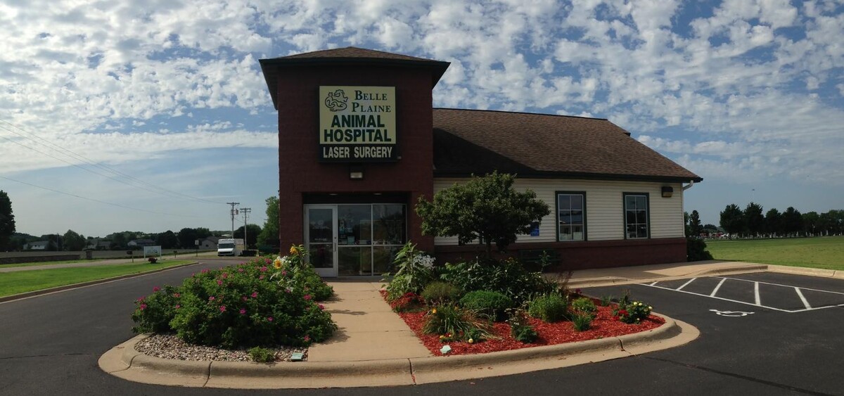 Images Belle Plaine Animal Hospital
