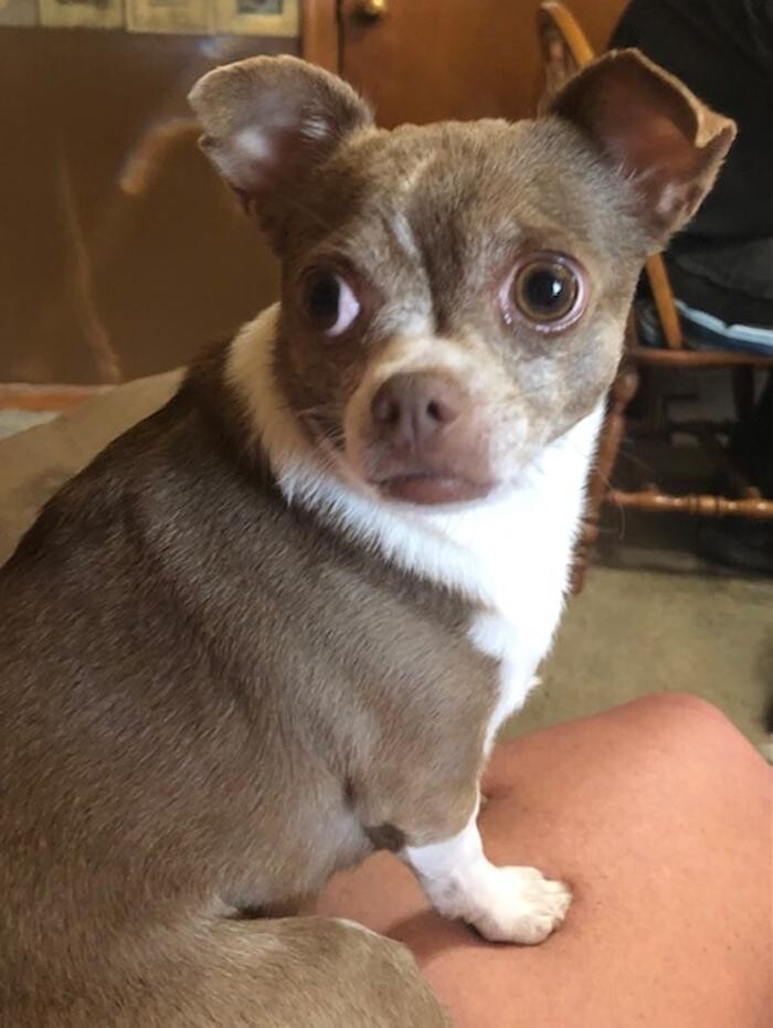 Images Belle Plaine Animal Hospital