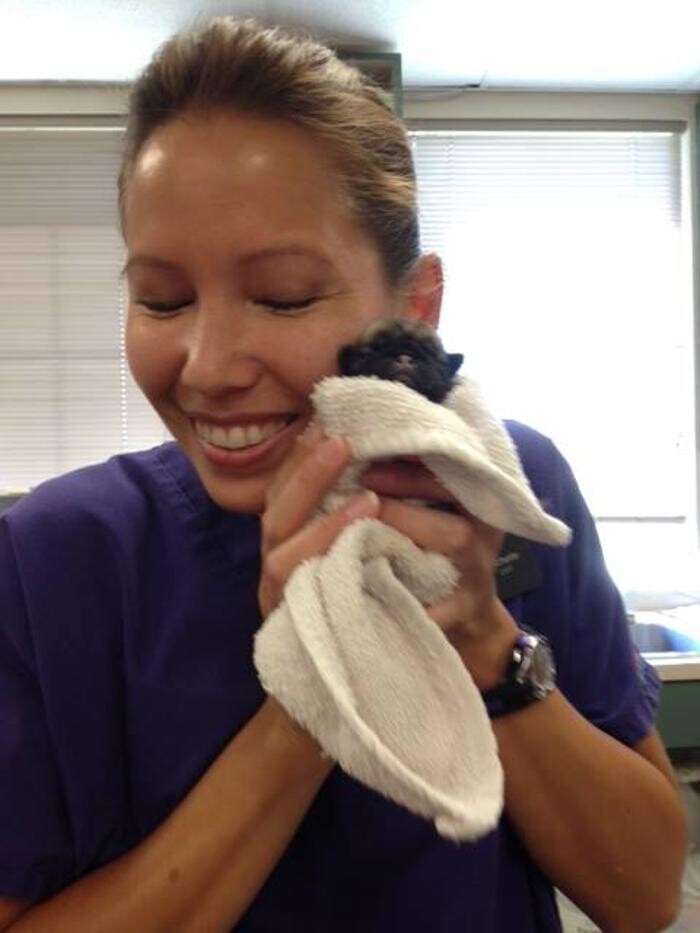 Images Belle Plaine Animal Hospital