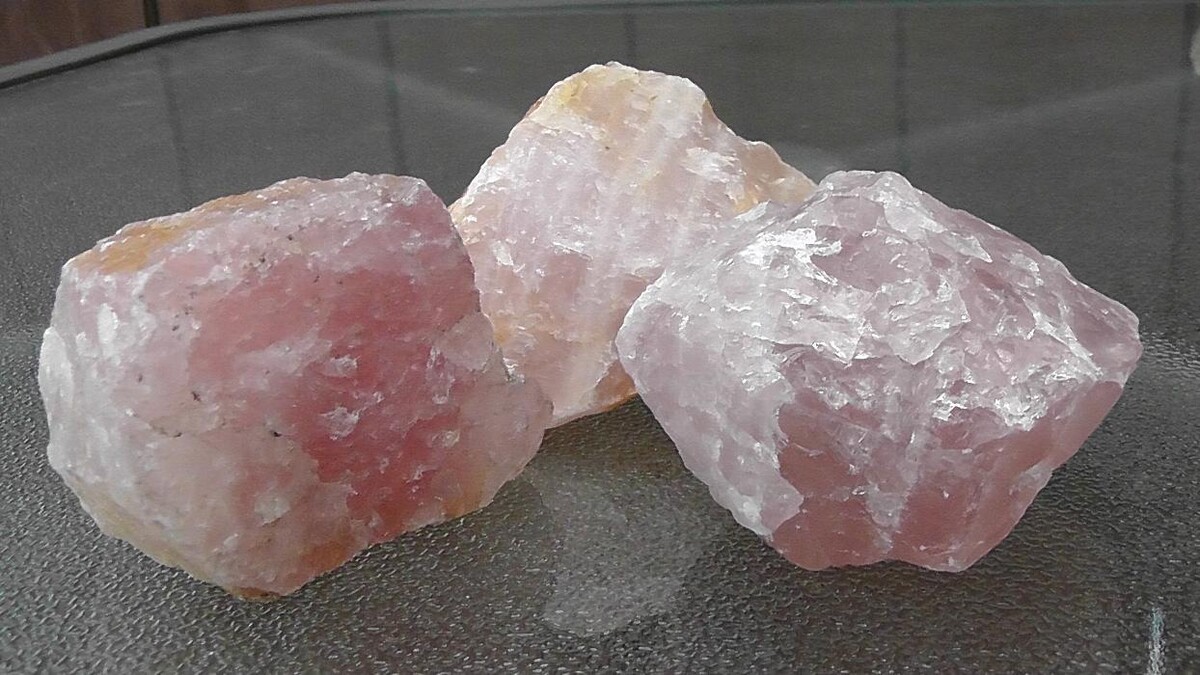 Images Belle Plaine Animal Hospital