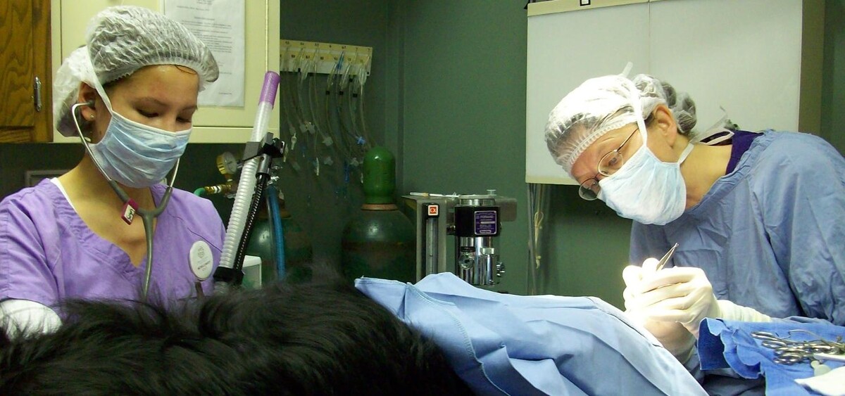 Images Belle Plaine Animal Hospital