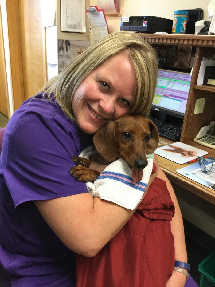 Images Belle Plaine Animal Hospital