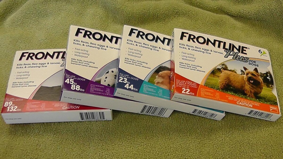 Images Belle Plaine Animal Hospital