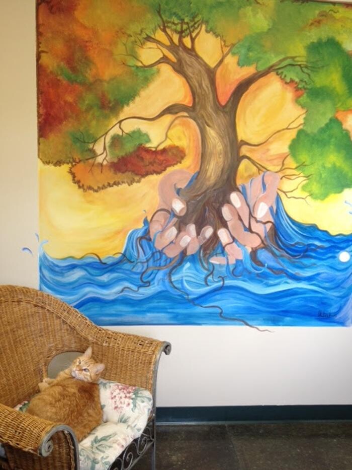 Images Belle Plaine Animal Hospital