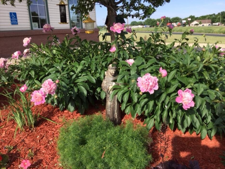 Images Belle Plaine Animal Hospital