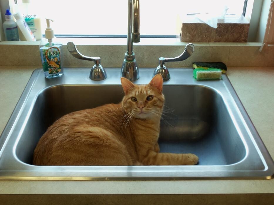 Images Belle Plaine Animal Hospital