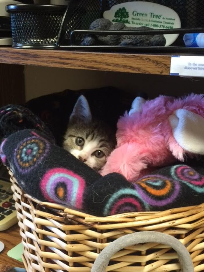 Images Belle Plaine Animal Hospital