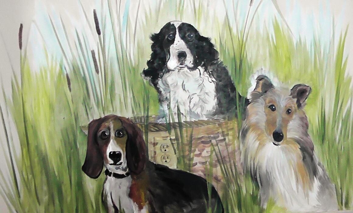 Images Belle Plaine Animal Hospital