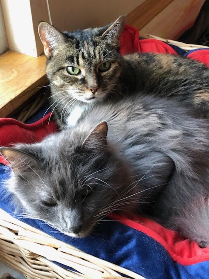 Images Belle Plaine Animal Hospital