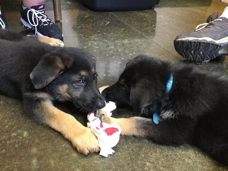 Images Belle Plaine Animal Hospital