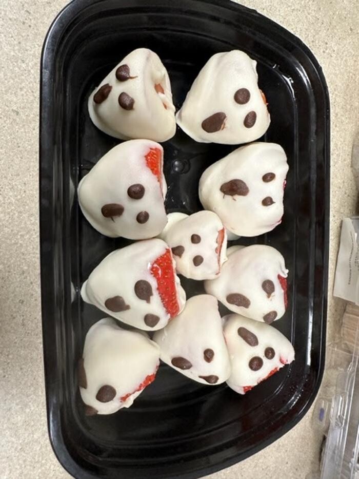 Images Belle Plaine Animal Hospital