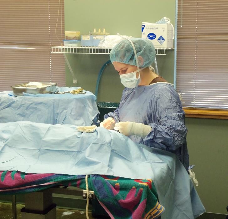 Images Belle Plaine Animal Hospital