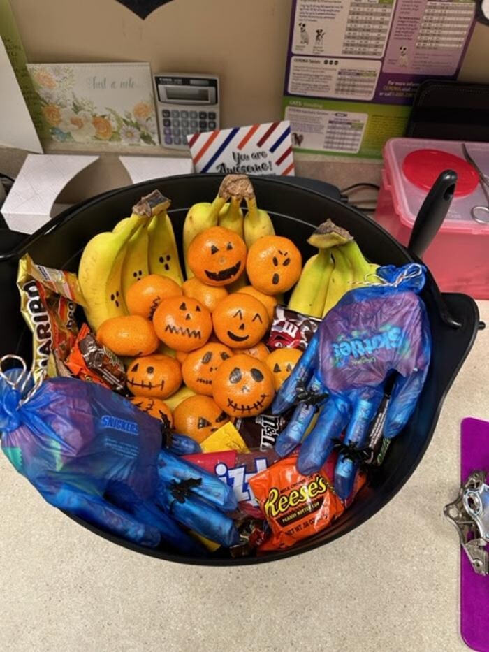 Images Belle Plaine Animal Hospital