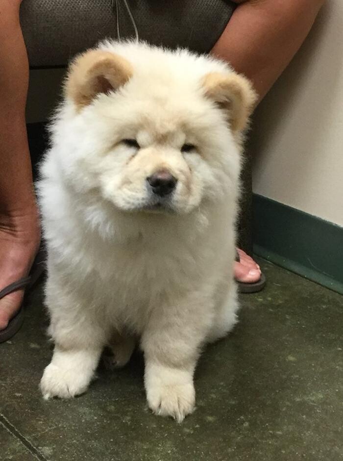 Images Belle Plaine Animal Hospital