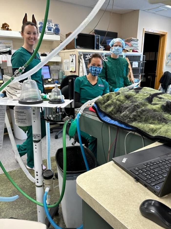 Images Belle Plaine Animal Hospital