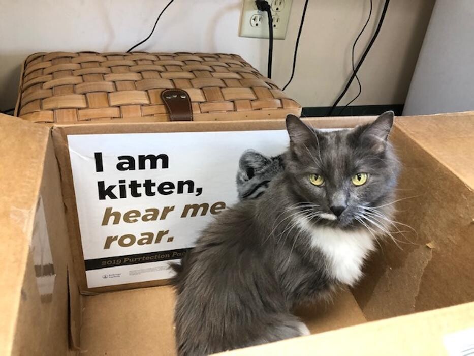 Images Belle Plaine Animal Hospital