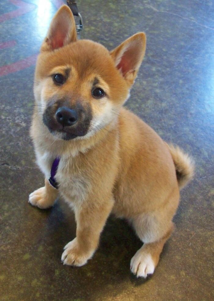 Images Belle Plaine Animal Hospital