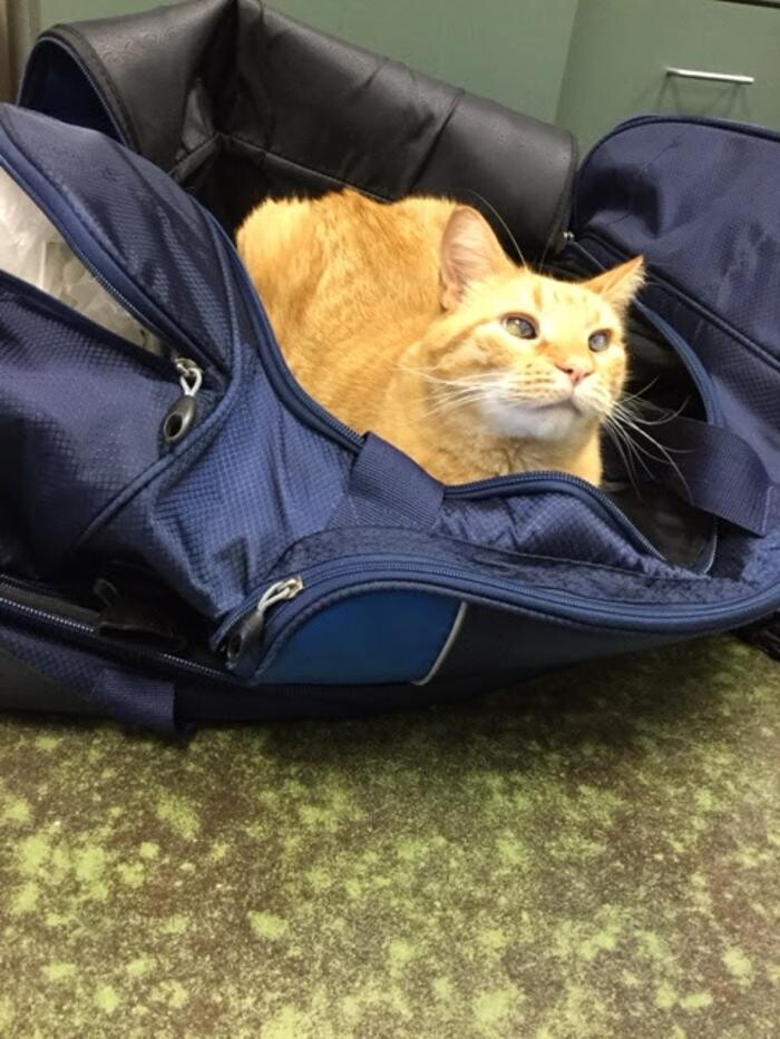 Images Belle Plaine Animal Hospital