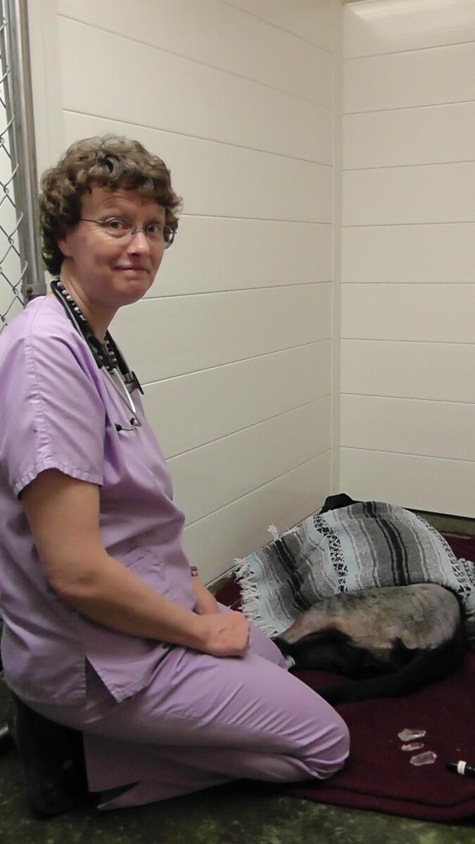 Images Belle Plaine Animal Hospital
