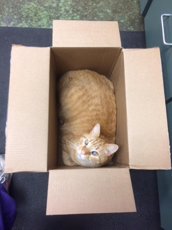 Images Belle Plaine Animal Hospital