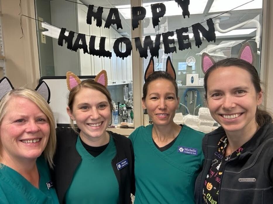 Images Belle Plaine Animal Hospital