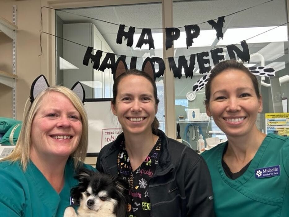 Images Belle Plaine Animal Hospital