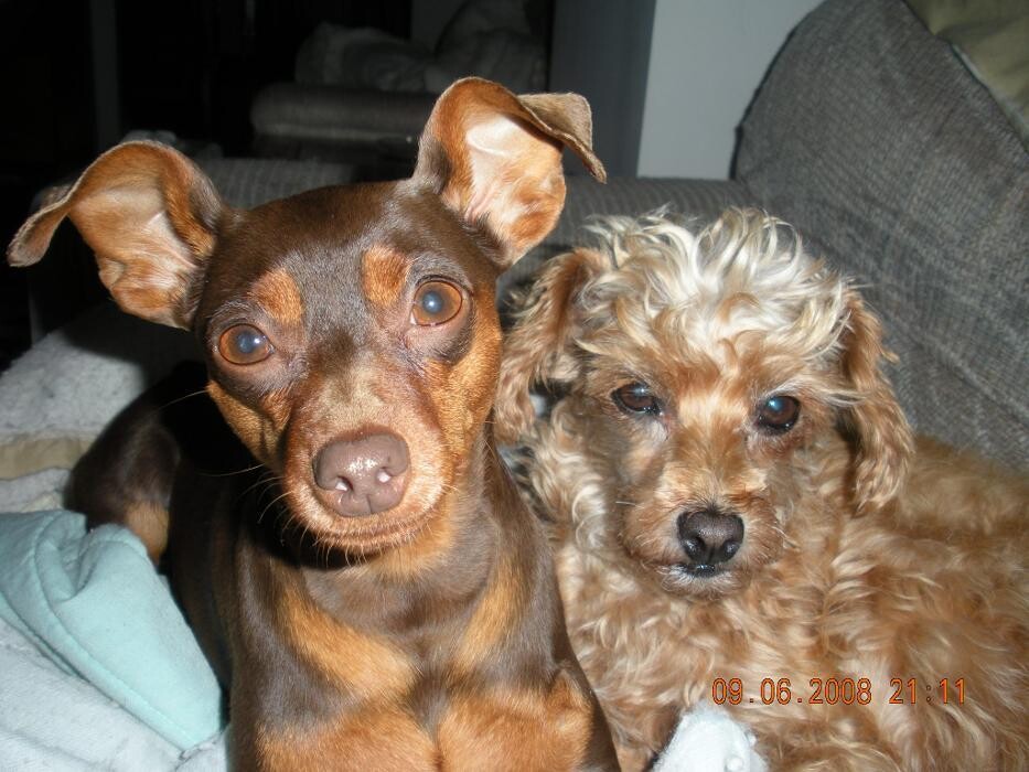 Images Belle Plaine Animal Hospital