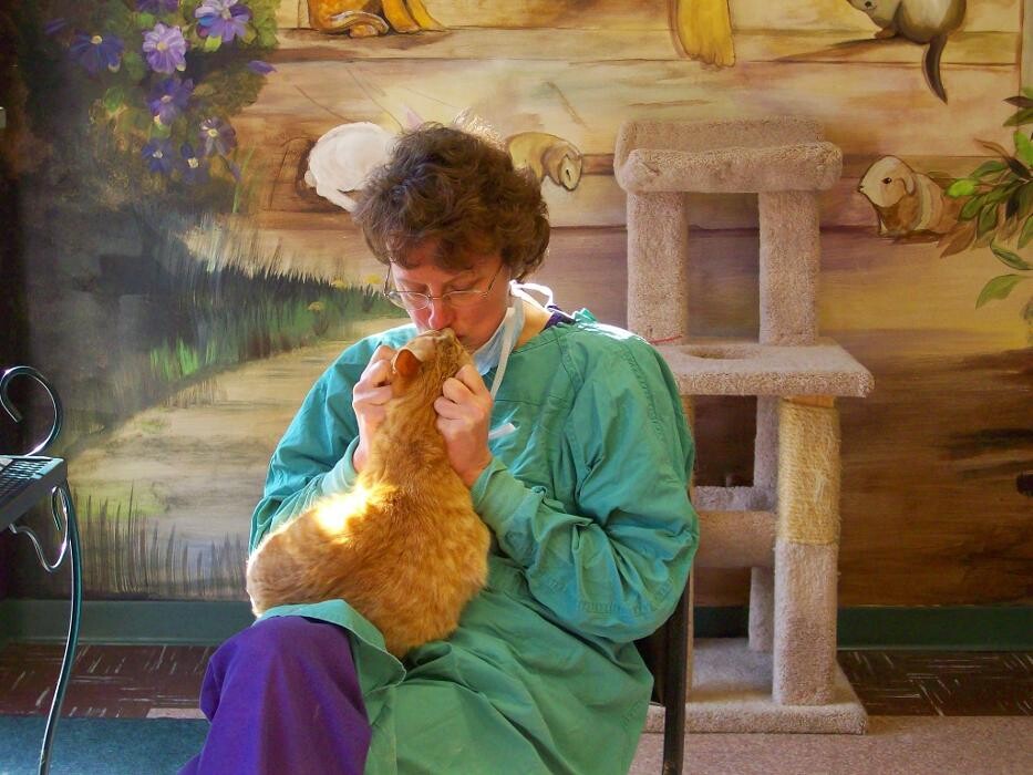 Images Belle Plaine Animal Hospital