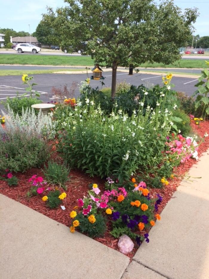 Images Belle Plaine Animal Hospital