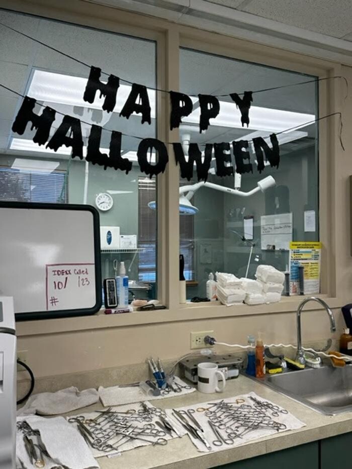 Images Belle Plaine Animal Hospital