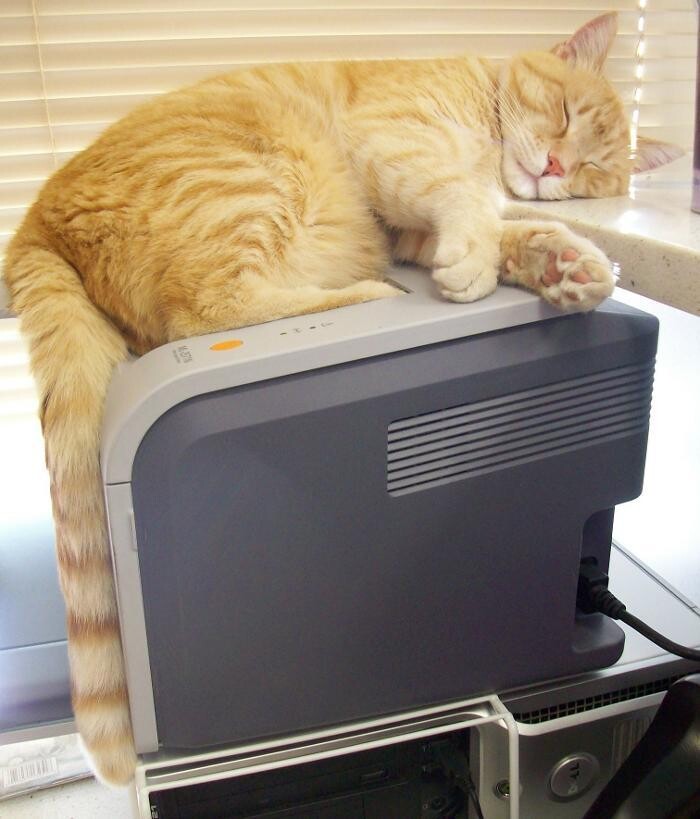 Images Belle Plaine Animal Hospital