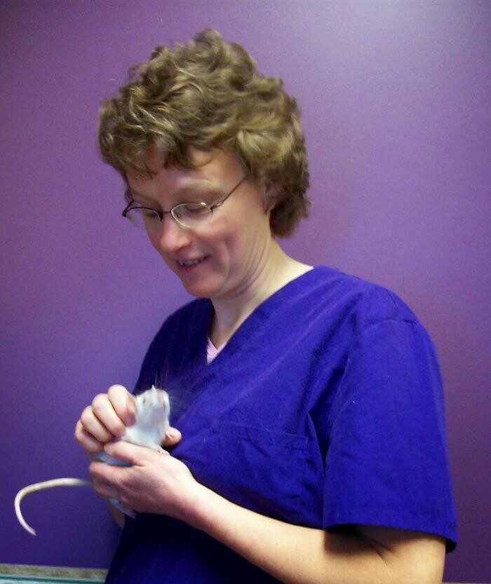 Images Belle Plaine Animal Hospital