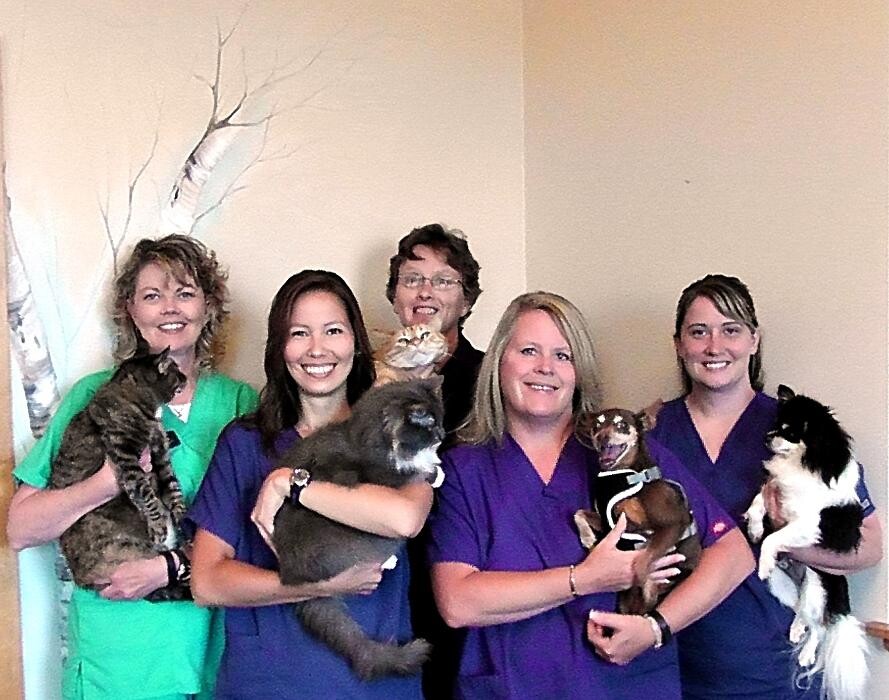 Images Belle Plaine Animal Hospital