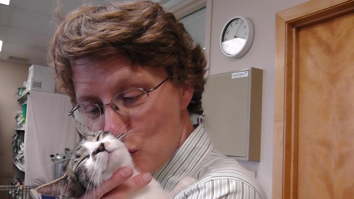 Images Belle Plaine Animal Hospital