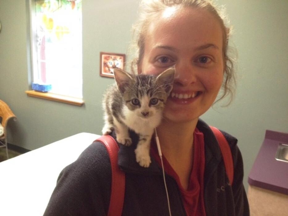 Images Belle Plaine Animal Hospital