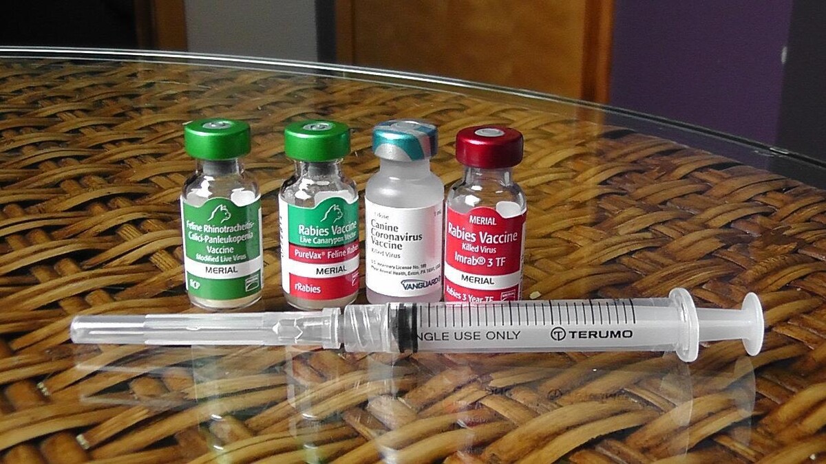 Images Belle Plaine Animal Hospital