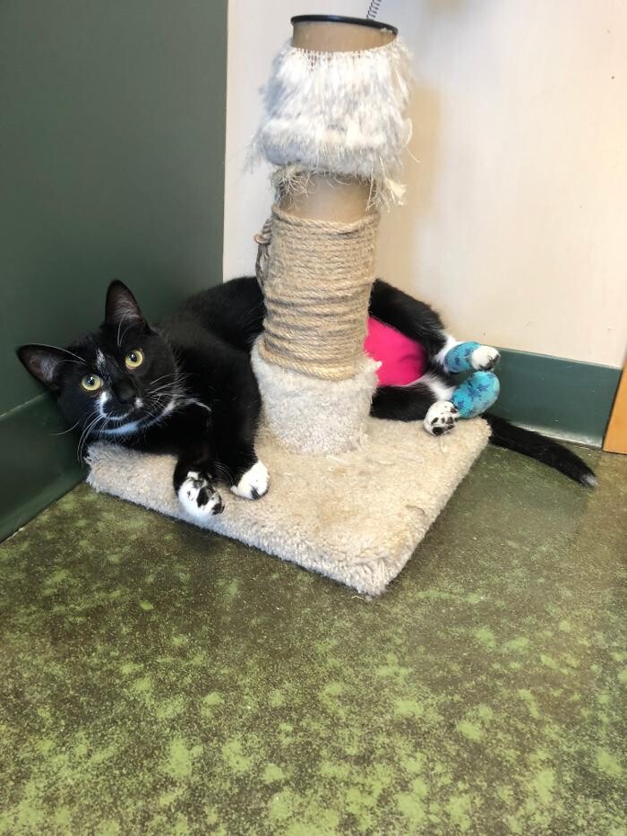 Images Belle Plaine Animal Hospital