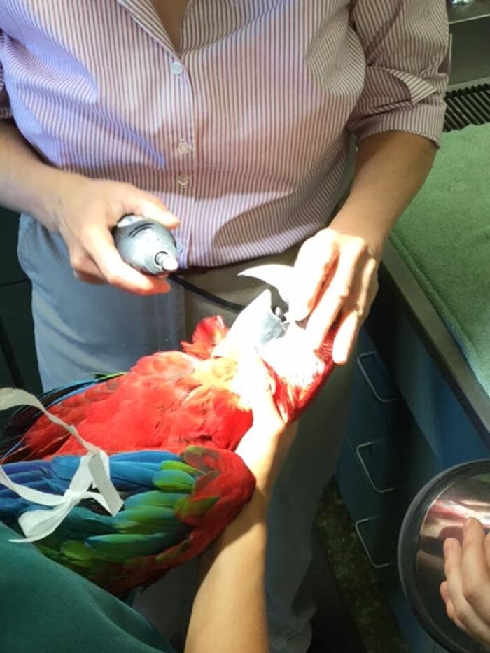 Images Belle Plaine Animal Hospital