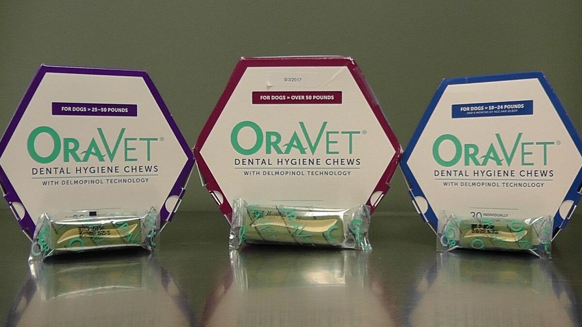 Images Belle Plaine Animal Hospital