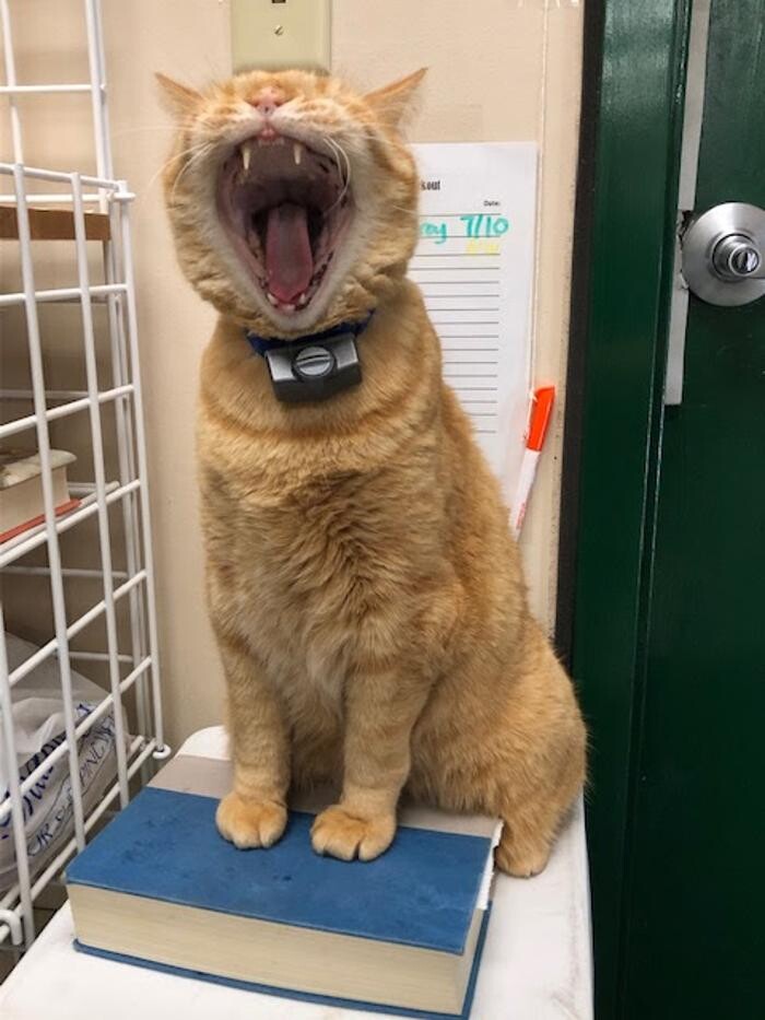 Images Belle Plaine Animal Hospital