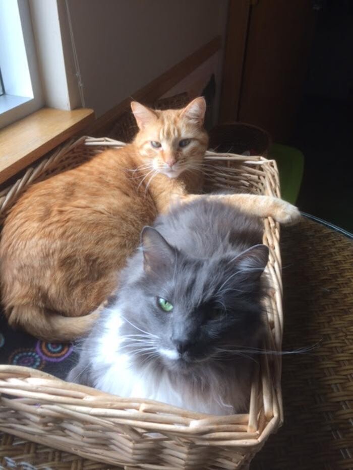 Images Belle Plaine Animal Hospital