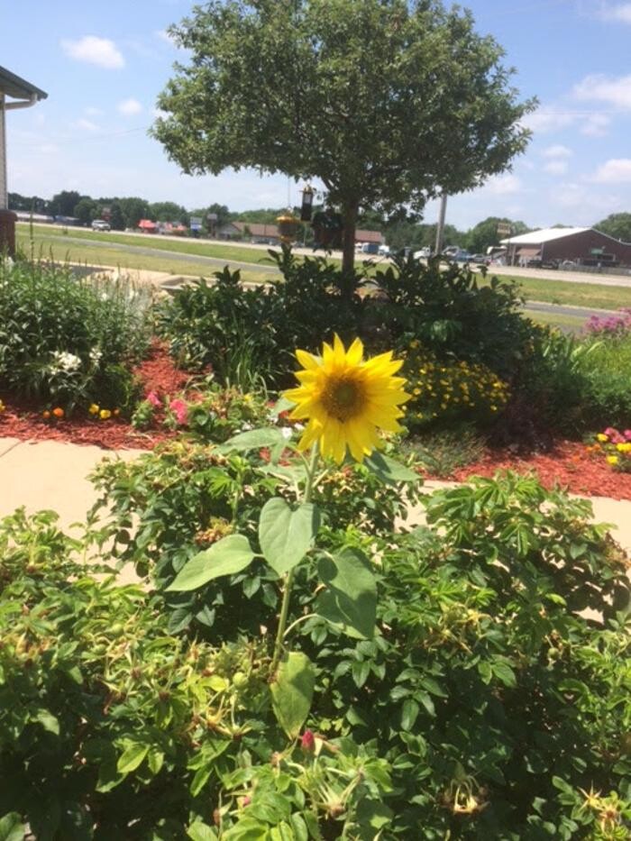 Images Belle Plaine Animal Hospital