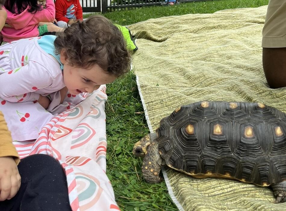 Images The Children's Center of New Milford, Inc